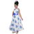Saarah Multicolored Gown for girls