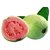 Syed Garden Multicolor Guava Fruit Seeds
