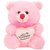 Teddy Bear with Heart 10 Inch Pink Color