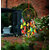 ILU Dreamcatcher Wall Hanging Handmade Beaded Circular Net Decoration Ornament Size 16 CM Diameter Multicolor