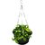 HANGING PLANTER FLOWER POT WITH METAL CHAIN WITH BASE 8. INCH 2QTY BLACK