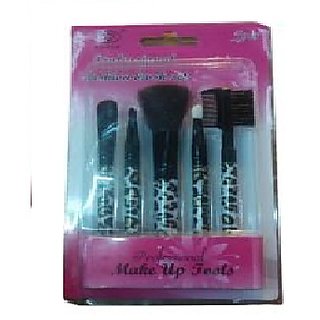 Professional Make Up Brush Set (Pack of 5)
