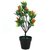Adaspo Green Plants With Orange Buds in Black Melamine Pot