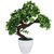 Adaspo 4 Headed Bonsai Green Tree With Melamine Pot