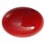 6.25 Ratti Moonga Stone pure  certified Cabochon 100 Cultured red coral gemstone