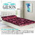 Gilson Folding Foam Mattress (72x30x3)