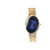 Oleva Analog Quartz Blue Dail Oval Metal Watch for Women's - OPMW22