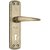 SPIDER Steel Mortice Key Lock Complete Set With Antique Brass Finish (S811MAB + RML4 )
