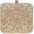 TARUSA Gold Embroidered Box Clutch