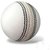 Cricket Leather Ball White