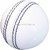Cricket Leather Ball White