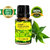 ZAAI NATURALS Tea Tree Diffuser Essential Oil With Dropper 15 ml 100 Pure