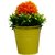 Orange Assorted Decorative Flower With Yellow Metallic Pot