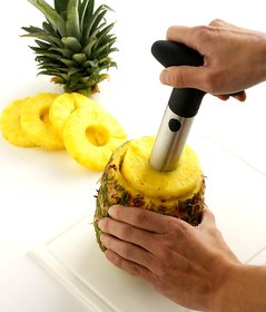 Kudos Pineapple Cutter