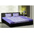 India Furnish 100 Cotton Leaves Design Double Bedsheets with Pillow covers ,Combo of 2 Sets - Blue  Purple Color