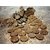 Cow Dung Cake 25 pieces  GOBBAR  Use As Bio Fertilizer  Village Products