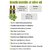 Ondoliva Organic Extra Virgin Olive Oil 500 ml Pack of 2