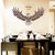 Jaamso Royals ' new eagle wings large wall stickers  ' Wall Sticker (PVC Vinyl, 90 cm X 60 cm, Decorative Stickers)