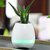 Agarwal Trading Corporation Musical Flower Pot With Leaf Piano Bluetooth