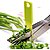 5 Blade Kitchen Scissor for Veggie Cutting and Paper shedderCutting Kitchen Tool