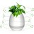 Tradeaiza TM Smart Music Flowerpot Pots Plant Interaction Bluetooth Speaker Multi color light Plastic Vase(Multicolor)