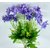 S N ENTERPRISES sn4901 light purple Poinsettia