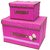 BRANDX Foldable Storage containers with lids Heavy Duty Clothes Toys Fabric Storage Boxes -Two Foldable Storage Box