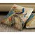 Amayra Cushion Covers 16 X 16 inch (SET OF 5), Peacock