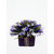 Adaspo Artificial Flower plant orange Artificial Plants Bunch (Purple)