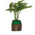 Adaspo artificial Money Plants With wooden Pot (Lime Green)