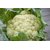 CAULIFLOWER SEEDS Brassica oleracea  TOTAL 400 SEEDS