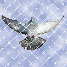 Shop by Room Anti Bird Net 8 X 12 Foot High Quality Nylon Net with Tie-pie Accessories ,White