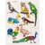 KIDS WOODEN PUZZLE - TYPES OF BIRDS