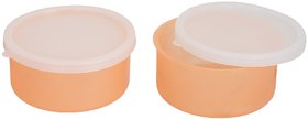 2 Orange Container-2 Plastic container