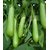 Green Brinjal M Vegetables Seeds