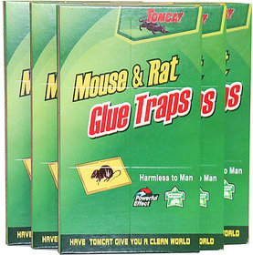 Right Traders Mouse Glue Pad/ Rat Catching Pad (Set of 3)