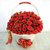 Season of Romance - Perfect For Valentines Day(40 Red Roses)