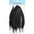 Natural  Dyed Red Indian Feathers Long - Black