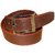 Stylish Brown Belt For Men GS-5-51