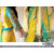 Srk yellow and Green Colour net and Jequred Butti Embroidered Saree