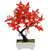 Random Y Shaped Artificial Bonsai Tree with Red Leaves and White Flwers