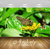 Avikalp Exclusive Premium butterfly HD 3D Wallpapers for Living room, Hall, Kids Room, Kitchen, TV Background, Office, Shop etc AWI38