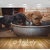 Avikalp Exclusive Premium dog HD 3D Wallpapers for Living room, Hall, Kids Room, Kitchen, TV Background, Office, Shop etc AWI81