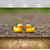 Avikalp Exclusive Premium ducky HD 3D Wallpapers for Living room, Hall, Kids Room, Kitchen, TV Background, Office, Shop etc AWI98