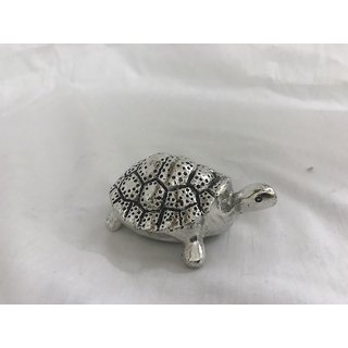 Buy Tortoise Online @ ₹299 from ShopClues