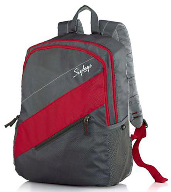 Skybags Neon 03 Grey Backpack at Best Prices Shopclues Online