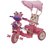 Baby Tricycle for kids With Parent Handle  Canopy, Pink  Oximus