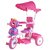 Baby Tricycle for kids With Parent Handle  Canopy, Pink  oximus