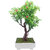 Random 3 Branched Artificial Bonsai Tree with Green Leaves and Pink Flowers