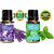 ZAAI NATURALS Combo of Lavender  Peppermint Diffuser Essential Oil - 15 ml